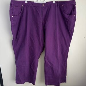 42w petite Purple Womens Pants Woman Within size 42 jeans 7x 8x 8xl 7xl straight
